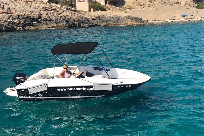 Bluemarine.me license free Bayliner Element E5 rental - Key points that make this rental worth your time
