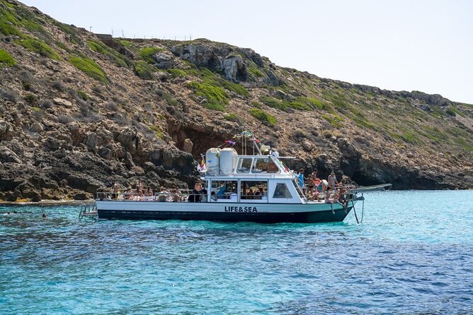 Boat Tour 2 hour in Palma Bay - The Swim Break in Palma Bay: Nature-Reserve Water Time