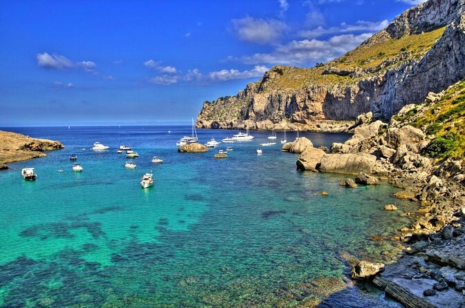 Boat tour from Cala Figuera to Caló del Moro and S´Almonia - Key Highlights You’ll Feel on This Tour
