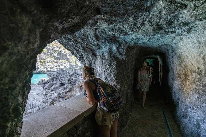 Boat, Tram and Train Tour in Mallorca from the South - Price and value: is $121.52 worth it for your travel style?