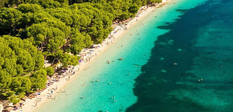 Breathtaking Formentor by Land and Sea - From Mallorca towns to the sea: the Port de Pollença cruise