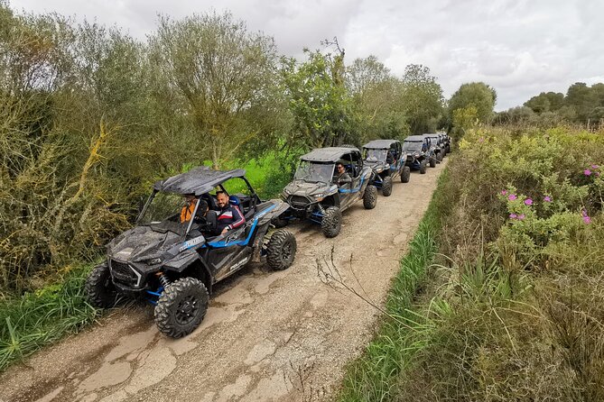 Buggy 2-seater and 4-seater Off-On Road Tour in Mallorca - Meeting at Platja de Palma and Driving Rules (Don’t Skip This)