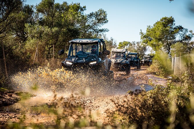 Buggy 2-seater and 4-seater Off-On Road Tour in Mallorca - The 30-Minute Break at 542 Meters: 360° Views You Can Actually Use