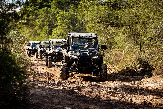 Buggy 2-seater and 4-seater Off-On Road Tour in Mallorca - Buggies, Seats, and Comfort: What to Know Before You Choose 2 or 4