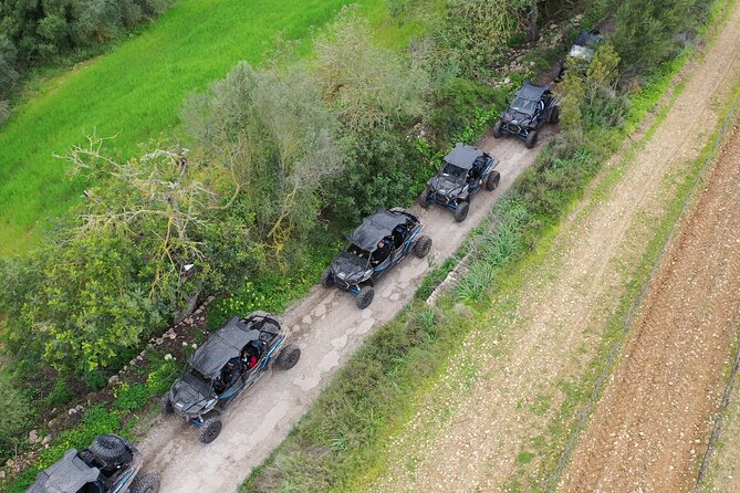Buggy 2-seater and 4-seater Off-On Road Tour in Mallorca - The Off-Road Track: Where the Fun Gets Loud (and Dusty)