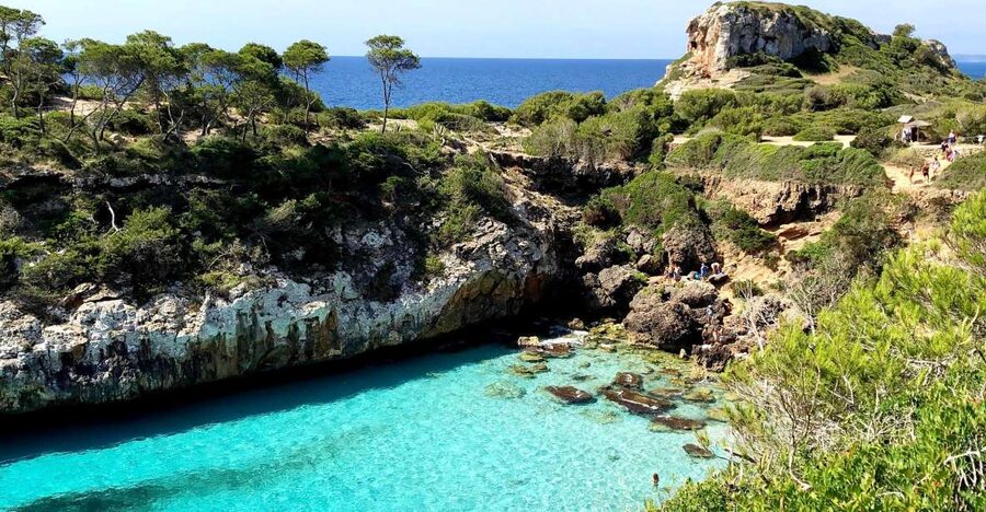 Cala des Moro/S'Almunia: Snorkel and SUP Tour - Key highlights to know before you go