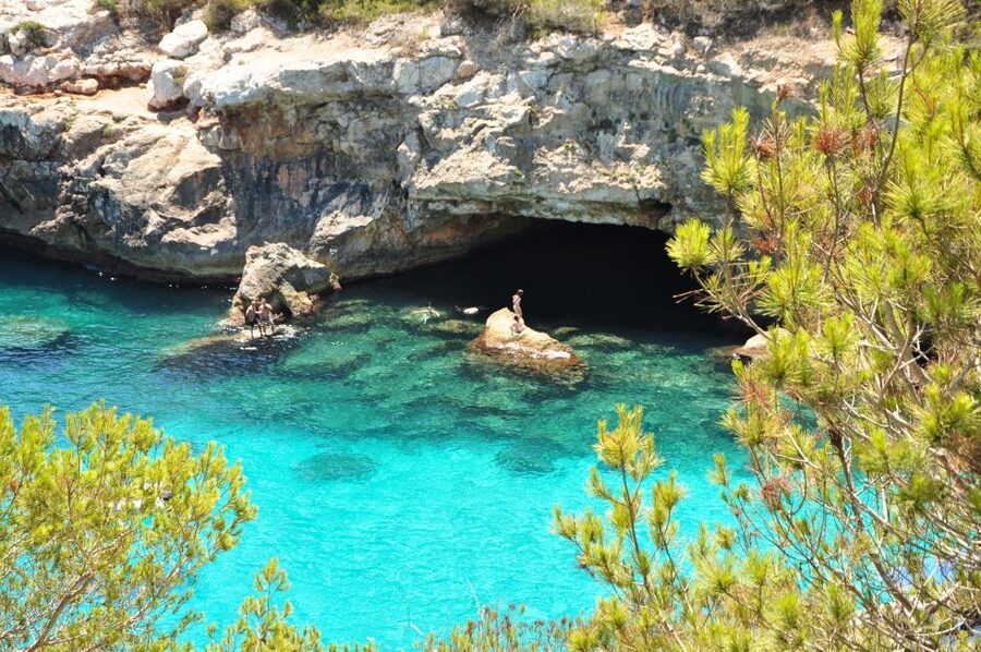 Cala des Moro/S'Almunia: Snorkel and SUP Tour - Pickup and transport: the van part is built for zero-stress days