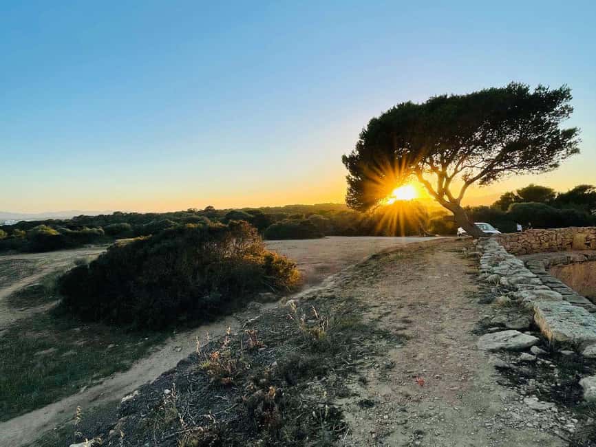 Cala Millor: real treasure hunt in natural reserve, fun walk - Practical tips so the puzzles go smoothly