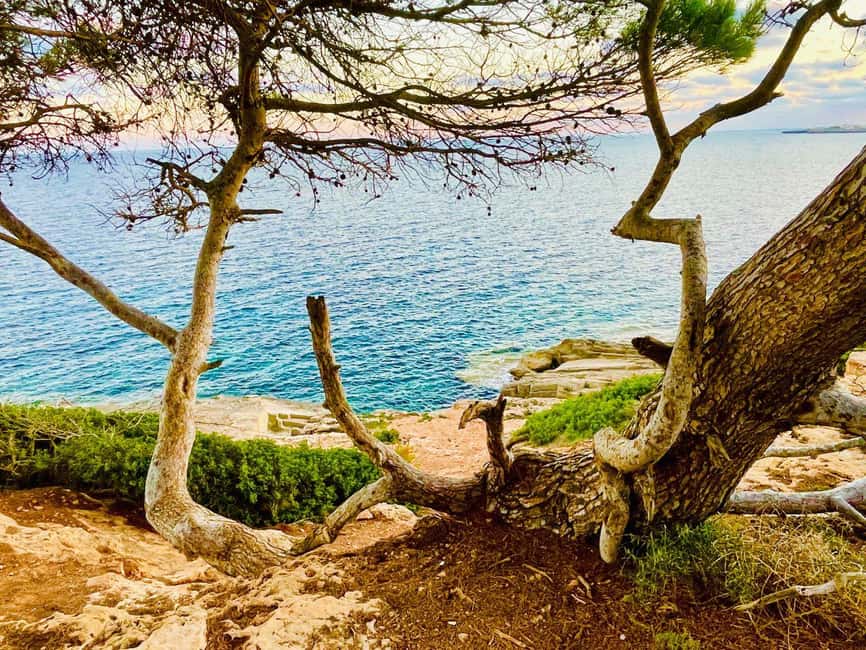 Cala Millor: real treasure hunt in natural reserve, fun walk - The pirate captain story: 7 puzzles, 3 tales, and the points system