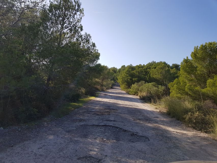 Cala Millor & Sa Coma: Jeep Touren – Natur entdecken - Who should book this mini-jeep tour (and who should skip)
