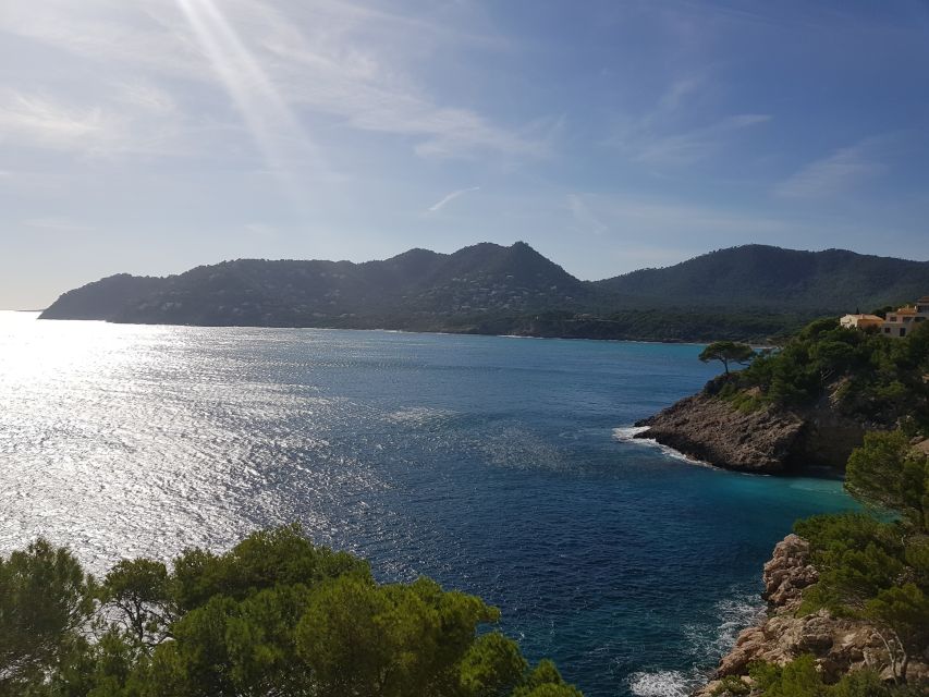 Cala Millor & Sa Coma: Jeep Touren – Natur entdecken - Guides like Marcel and Jürgen: why the vibe matters