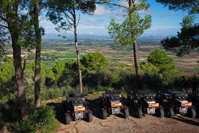 "Cala Millor & Sa Coma: TOP Buggy Tours – your mega experience!" - The real value: why $95.58 can make sense