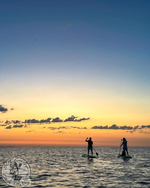 Cala Ratjada: Stand Up Paddle Sunrise Tour - Quick highlights for Cala Ratjada’s sunrise SUP