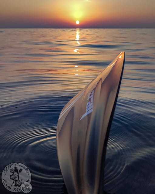 Cala Ratjada: Stand Up Paddle Sunrise Tour - Paddling the coastline: views, rhythm, and what to expect