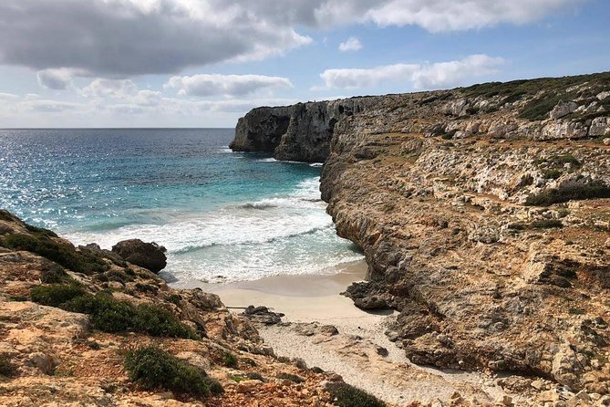 Cala Romantica Water Cave Adventure - The 220-meter swim back to shore: short, real, and condition-dependent