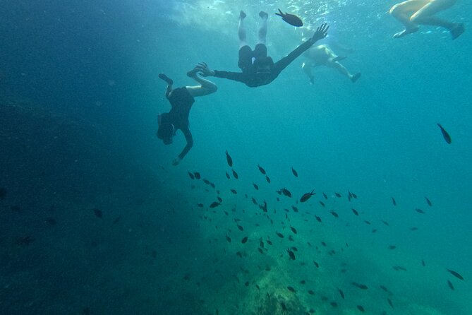 Cala Varques: Guided kayak Sea caves expedition & snorkeling - Price and value: what $90.11 buys you on Mallorca water