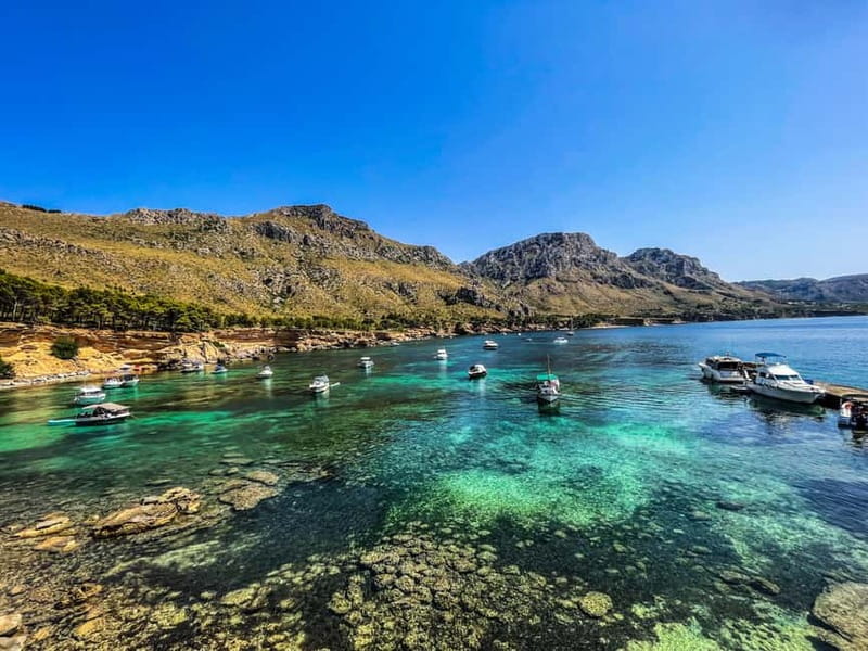 Can Picafort: 2-Hour Boat Tour with Snorkeling & Sea Caves - What the Crew Experience Feels Like on Board
