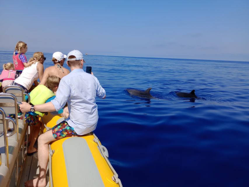 Can Picafort: Dolphin Watching Boat Tour, Swimming stop - Dolphin watching from Can Picafort: why this feels different