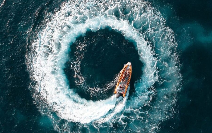 Can Picafort: Dolphin Watching Boat Tour, Swimming stop - The dolphin search: how you get close to the action