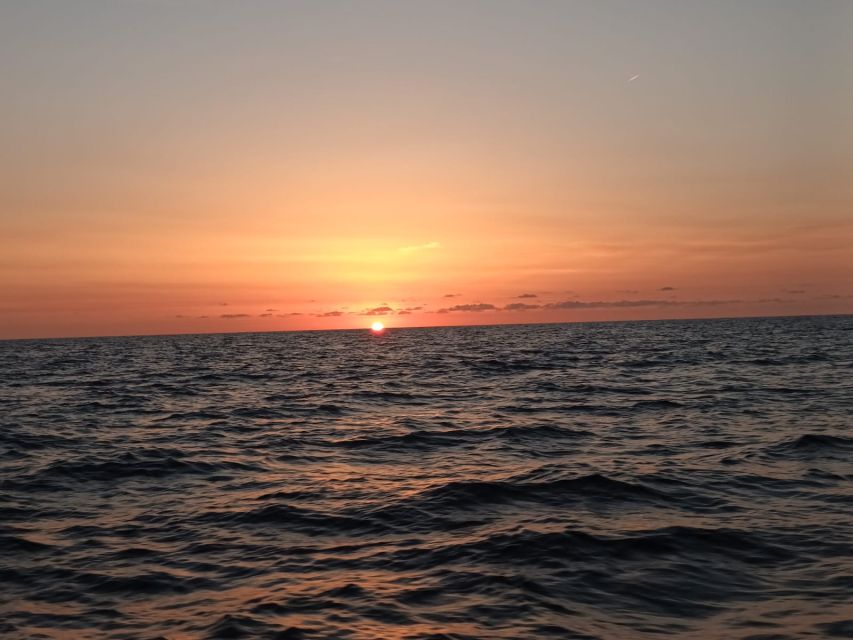 Can Picafort: Dolphin Watching Boat Tour, Swimming stop - Mallorca’s northern coastline: the views between sightings