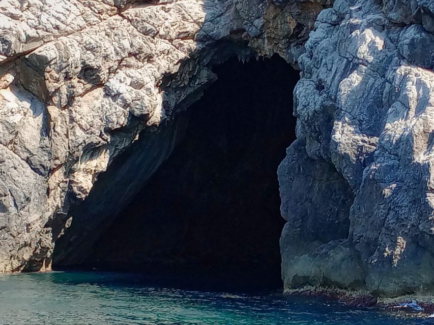 Can Picafort: Dolphin Watching Boat Tour, Swimming stop - Caves and coves on the return: more than a quick stop
