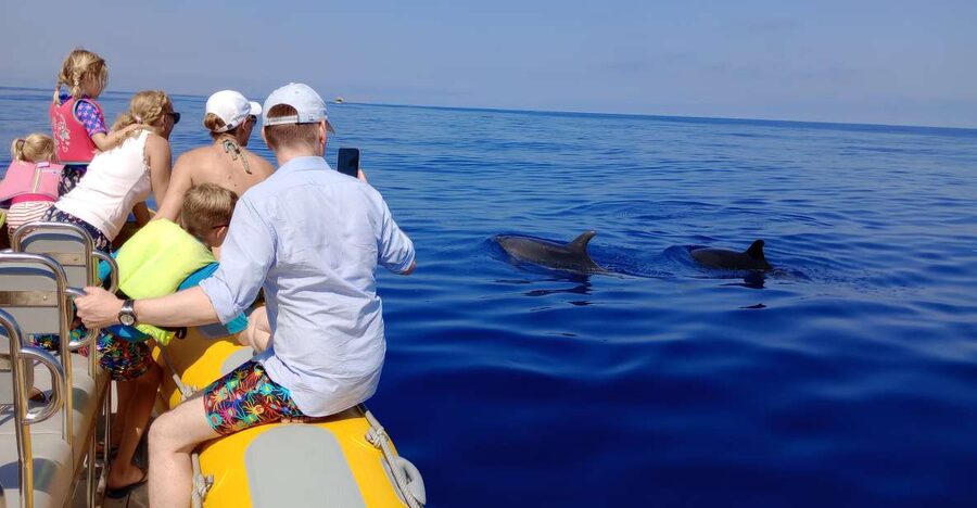 Can Picafort: Dolphin Watching Boat Tour, Swimming stop - From Can Picafort Yacht Club to open sea: the 3-hour rhythm