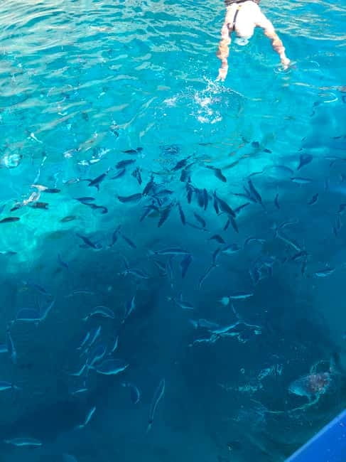 Can Picafort or Alcudia: Customizable Private Boat Day Trip - The 3-hour cruise: coves, sea caves, cliffs, and a swim stop