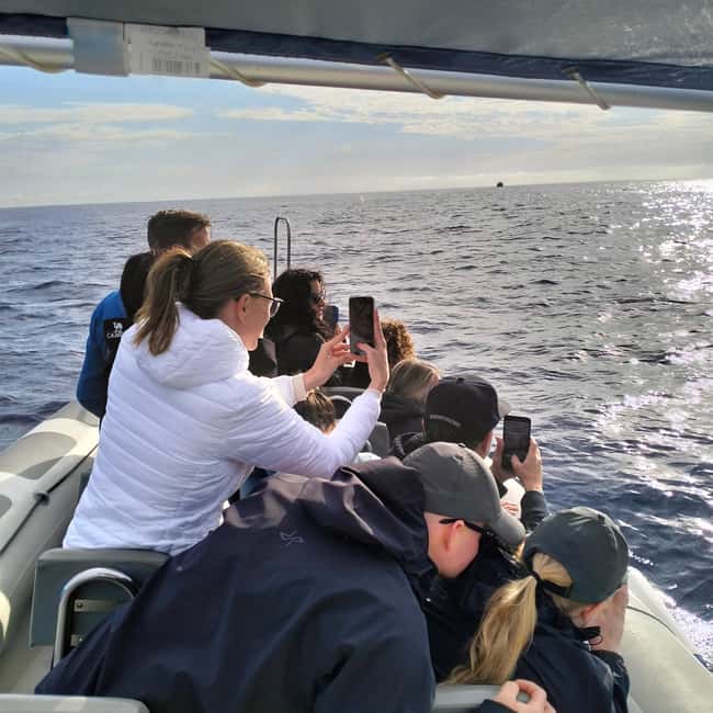 Can Picafort or Alcudia: Customizable Private Boat Day Trip - Who this private boat trip suits best (and who should skip it)