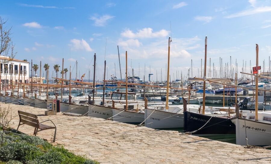 Cap de Formentor: Market, Beach, and Alcudia Tour - Price and value: is $69 per person a fair deal?