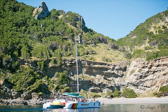 Catamaran Cruise from Port d'Alcudia with Lunch and Swim Stop - Bay of Pollensa Swim-and-Snorkel Hour with Lunch