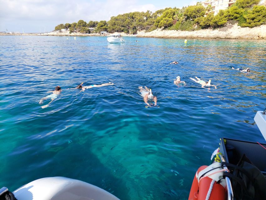 CATAMARAN ECO EXPERIENCE at Palma Bay - Meeting the Crew: What a Great Guide Changes