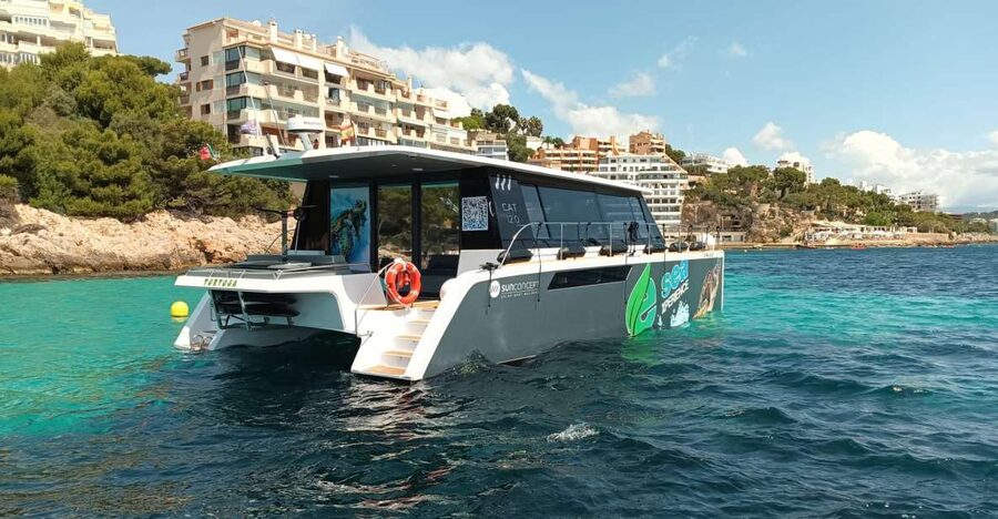 CATAMARAN ECO EXPERIENCE at Palma Bay - Tips to Keep It Comfortable: Packing List and Sea-Sickness Reality