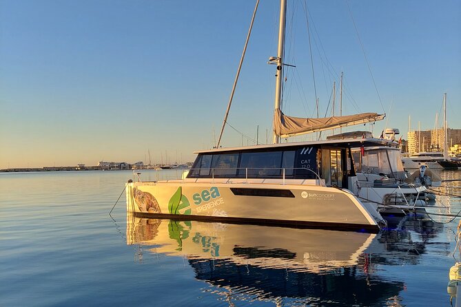 Catamaran Mallorca Eco Experience - Key Highlights You’ll Actually Care About