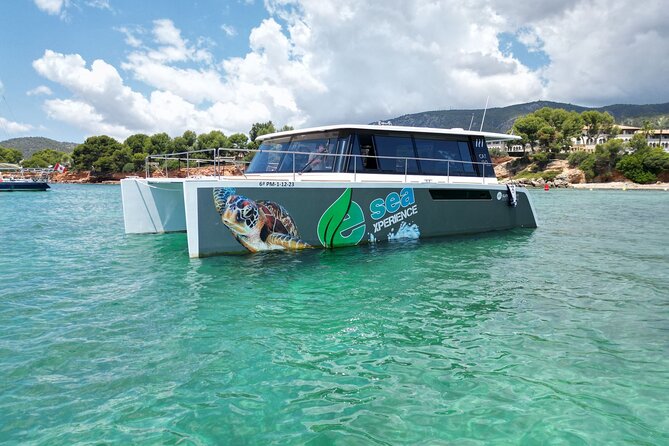 Catamaran Mallorca Eco Experience - Stop One at Illetas: Swimming and Snorkeling Time That Doesn’t Feel Rushed