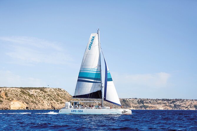 Catamaran with BBQ in the Bay of Palma - Top Reasons to Choose the Bay of Palma Catamaran BBQ