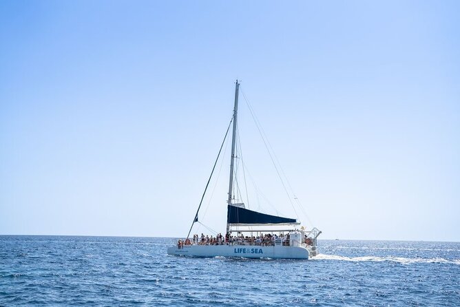 Catamaran with BBQ in the Bay of Palma - Price and Value: Why $78.09 Can Make Sense Here
