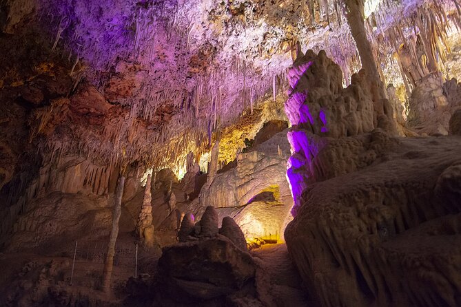 Caves Drach Boat Trip from Alcudia with Return Bus and Tickets - Ticket handling that saves time at the entrance