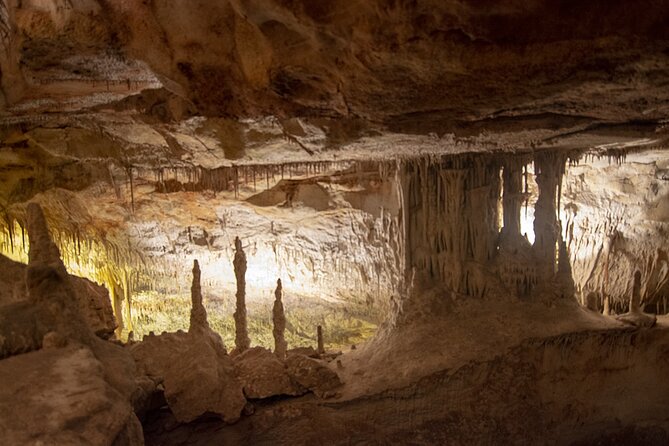 Caves Drach Boat Trip from Alcudia with Return Bus and Tickets - The Majorica Pearls optional stop right by the caves