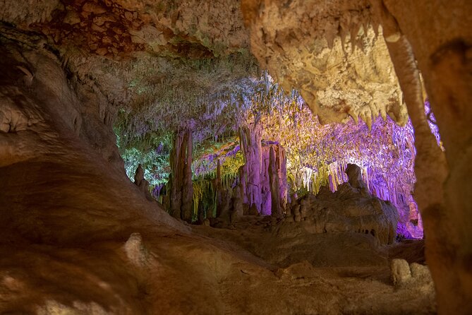 Caves Drach Boat Trip from Alcudia with Return Bus and Tickets - What the day feels like on the ground