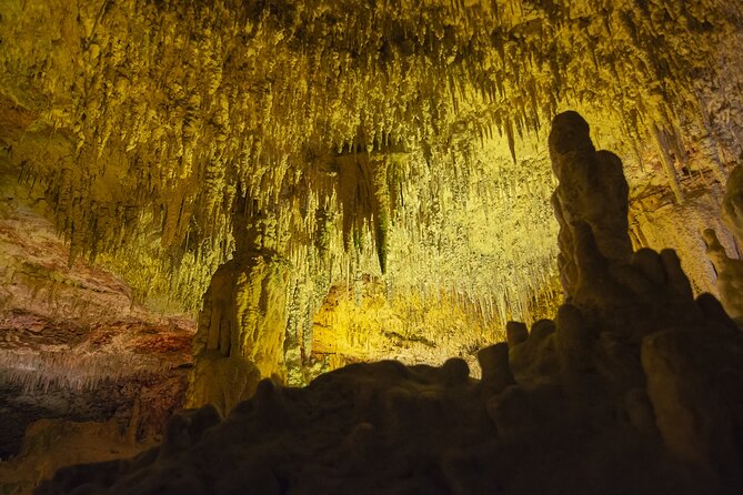 Caves Drach Boat Trip from Alcudia with Return Bus and Tickets - Cuevas del Drach: walking into a cave world for 2+ hours