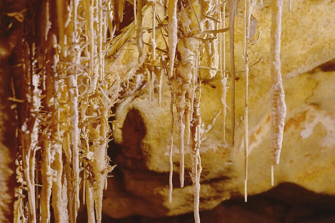 Caves Drach Tour & Return Transfer from Cala Dor-Calas Mallorca - Lake Martel concert: lights first, then classical music