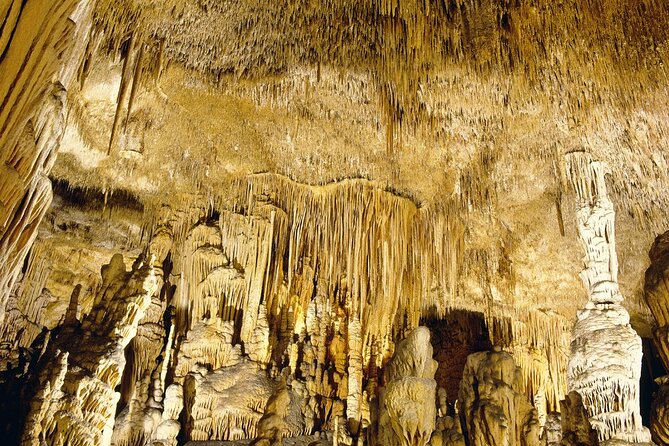 Caves Drach Tour & Return Transfer from Cala Dor-Calas Mallorca - Relax time, shops, restrooms, and cave photos
