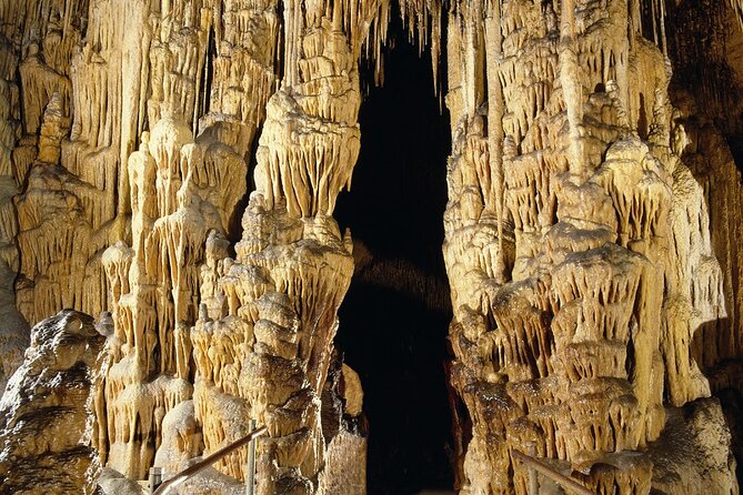 Caves Drach Tour & Return Transfer from Cala Dor-Calas Mallorca - The Cuevas del Drach walkthrough: best chambers, clear route