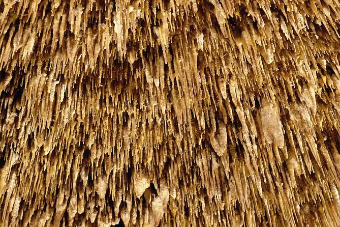 Caves of Drach Half-Day Tour with Boat Trip and Music Concert - Majorica pearls showroom: quick shopping, optional pressure