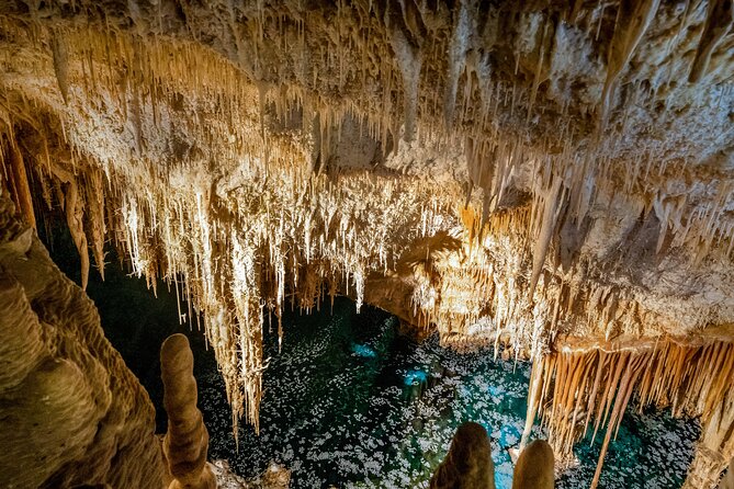 Caves of Drach Tour From Cala Millor and Cala Ratjada - Price and what you actually get for it