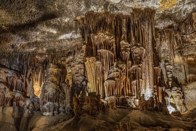 Caves of Drach Tour From Cala Millor and Cala Ratjada - Boat trip on Lake Martel: short duration, big atmosphere