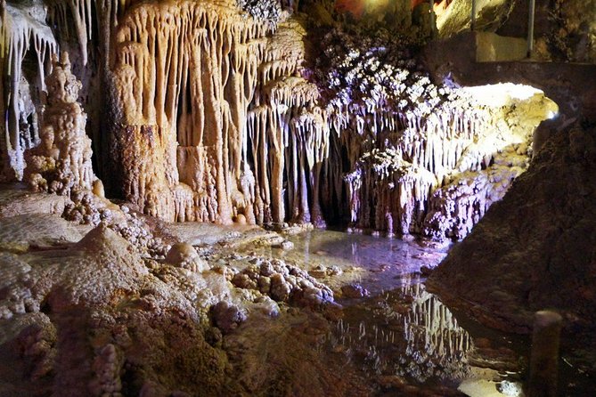 Caves of Genova Admission in Palma de Mallorca - Cuevas de Genova: A quick cave stop near Palma