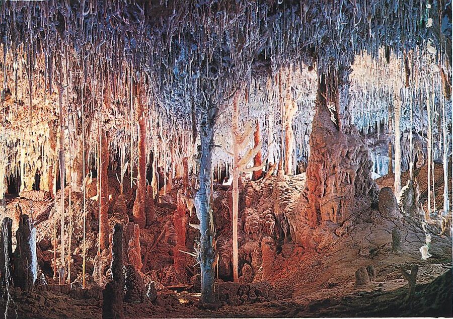 Caves of Hams Tour with Blue Cave & Audiovisual Experience - Round Cave and the botanical garden: the calm intermission