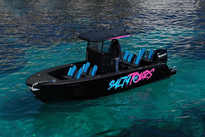Charter Tour of Palma Bay: Snorkeling and Paddle Surfing - Price and value: $78.02 for 2.5 hours of water time
