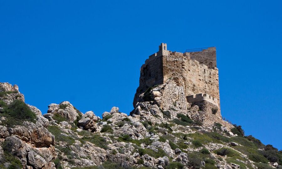 Colonia Sant Jordi: Classic & Express Boat Tour to Cabrera - Who this tour fits best